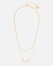 Load image into Gallery viewer, PEARL ELOISE 14K GOLD FILLED DOTTED CHAIN NECKLACE