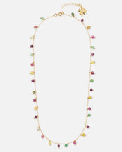 Load image into Gallery viewer, JUICY FRUIT SPRINKLES 14K GOLD FILLED NECKLACE