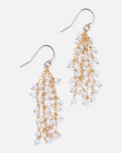 Load image into Gallery viewer, PEARL SUZANNE 14K GOLD FILLED EARRINGS
